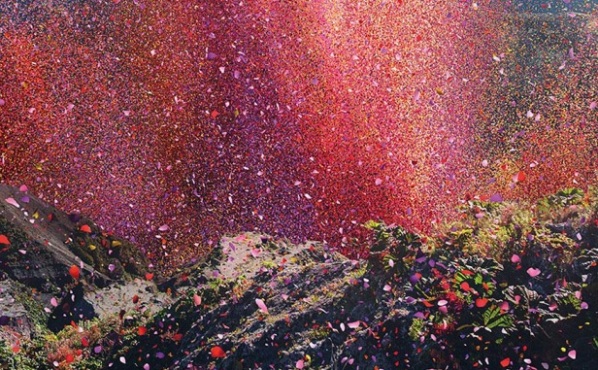 flowerpetalexplosionsonymarketingcampagne8