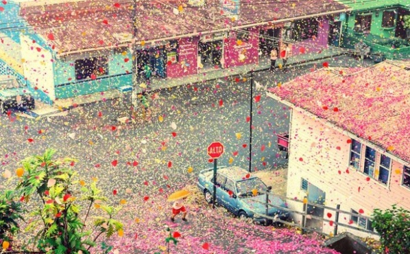 rainingflowers1