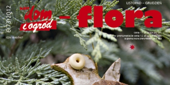 NDIO - Flora wydanie świąteczne
